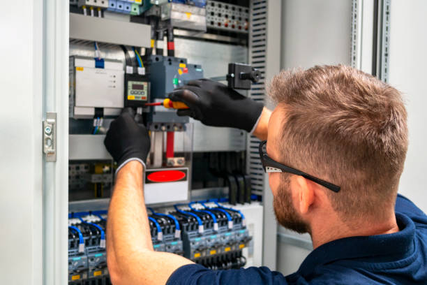 Best Electric Panel Repair  in Blair, WI