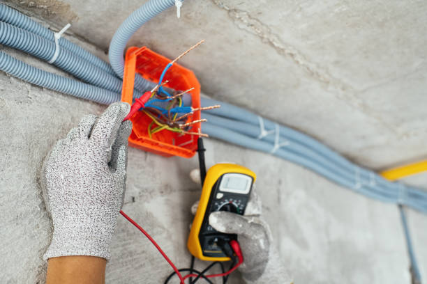 Best Ceiling Fan Installation Electrician  in Blair, WI
